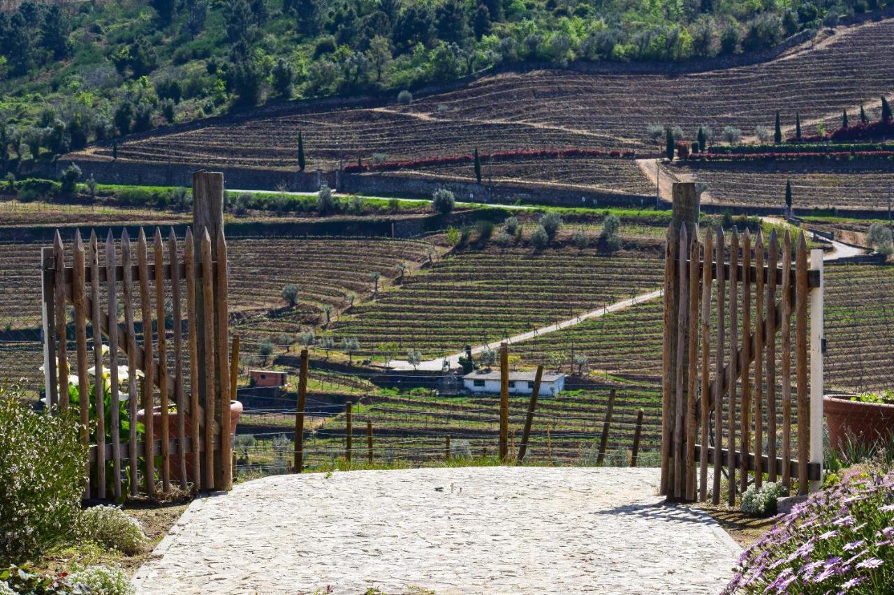 Quinta Dos Padrinhos - Suites In The Heart Of The Douro Ламегу Экстерьер фото