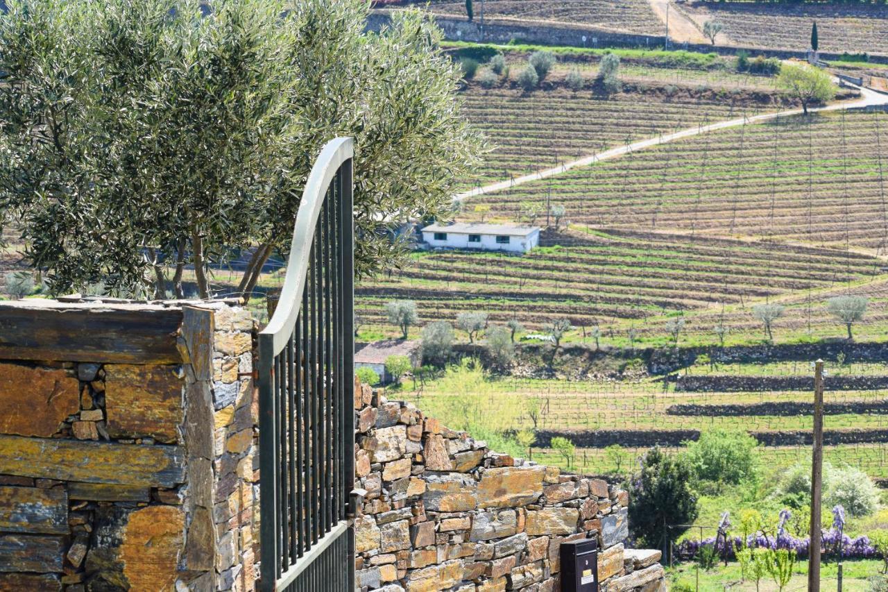 Quinta Dos Padrinhos - Suites In The Heart Of The Douro Ламегу Экстерьер фото