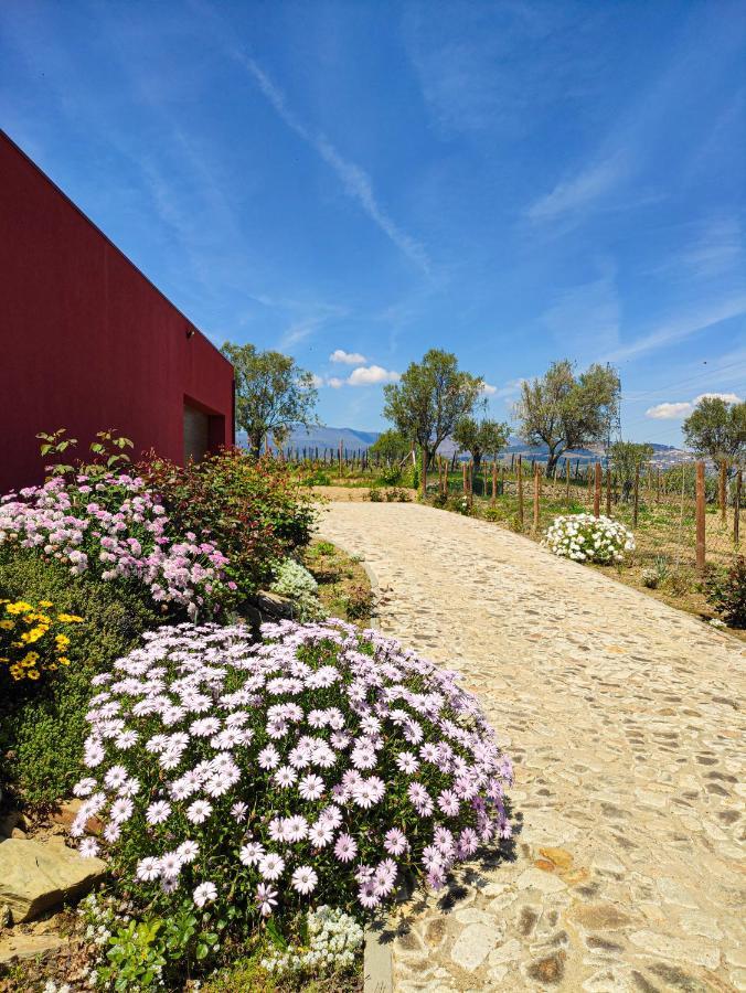 Quinta Dos Padrinhos - Suites In The Heart Of The Douro Ламегу Экстерьер фото