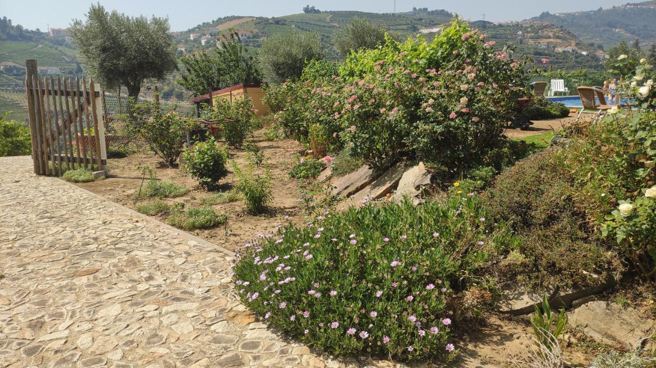 Quinta Dos Padrinhos - Suites In The Heart Of The Douro Ламегу Экстерьер фото