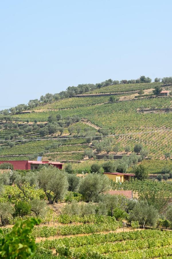 Quinta Dos Padrinhos - Suites In The Heart Of The Douro Ламегу Экстерьер фото